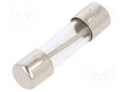Fuse: fuse; time-lag; 750mA; 250VAC; cylindrical; 5x20mm; brass; 5TT BEL FUSE