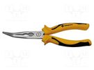 Pliers; curved,half-rounded nose; 205mm BERNSTEIN