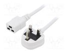 Cable; 3x1.5mm2; BS 1363 (G) plug,IEC C19 female; PVC; 1m; white LIAN DUNG