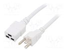Cable; 3x14AWG; IEC C19 female,NEMA 5-15 (B) plug; PVC; 3m; white LIAN DUNG