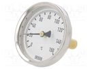 Meter: temperature; analogue,bimetal; 0÷160°C; Probe l: 40mm; A50 WIKA