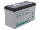 Re-battery: acid-lead; 12V; 7.2Ah; AGM; maintenance-free; 2.78kg SSB