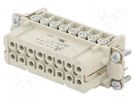 Connector: HDC; female; PIN: 16; size 16; contact insert; 400V; 16A WIELAND