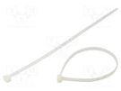 Cable tie; multi use; L: 340mm; W: 7.6mm; polyamide; 535N; natural HELLERMANNTYTON