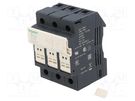 Fuse base; for DIN rail mounting; Poles: 3 SCHNEIDER ELECTRIC