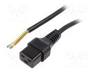Cable; IEC C19 female,wires; 2m; with IEC LOCK locking; black SCHAFFNER