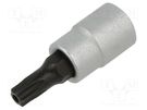 Socket; socket spanner,Torx® with protection; T27H; 1/4"; 33mm PROXXON