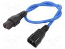 Cable; IEC C13 female,IEC C14 male; 0.5m; with IEC LOCK locking SCHAFFNER