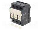 Fuse base; for DIN rail mounting; Poles: 3 SCHNEIDER ELECTRIC