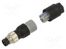 Connector: M8; male; for cable; plug PHOENIX CONTACT