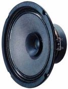 BG 20 - 8 Ohm 20 cm (8") full-range speaker