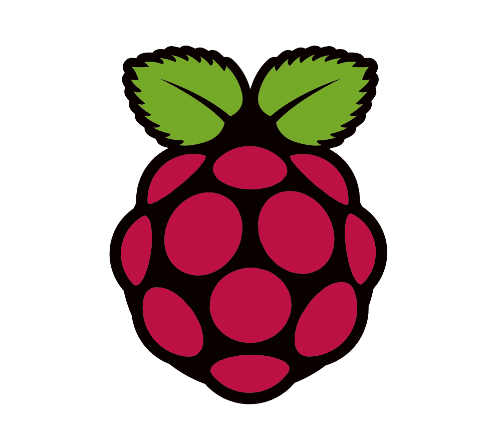 raspberry pi logotipas