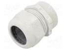 Cable gland; with long thread; M50; 1.5; IP68; polyamide OBO BETTERMANN