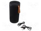 Speaker; black; Jack 3,5mm,microSD,USB C; Bluetooth 5.1; 10m SAVIO