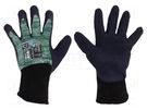 Protective gloves; Size: 8,M; green; Dexcut WONDER GRIP