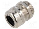 Cable gland LAPP