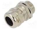Cable gland; with long thread; M20; 1.5; IP68; brass; Entrelec TE Connectivity