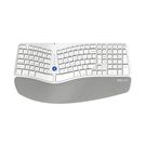 Wireless Ergonomic Keyboard Delux GM901D BT+2.4G (white), Delux