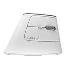 Wireless Ergonomic Mouse Delux MV6 DB BT+2.4G (white), Delux