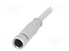 Connector: M8; Len: 3m; female; PIN: 3; straight; for cable; plug CONEC