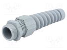 Cable gland; with strain relief; PG13,5; 1.5; IP68; polyamide HELUKABEL