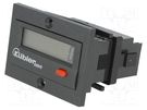 Counter: electronical; LCD; pulses; 99999999; IP65; IN 1: contact KÜBLER