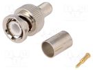 Plug; BNC; male; straight; 75Ω; RG6; crimped; for cable; gold-plated 