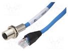 Adapter; M12 female,RJ45 plug; D code-Ethernet; PIN: 4; IP65; 1m AMPHENOL