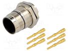 Connector: M23; socket; PIN: 6; male; crimped; 28A; shielded; IP67 AMPHENOL LTW