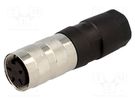 Connector: M16; plug; female; soldering; for cable; PIN: 4; 5A; 300V AMPHENOL