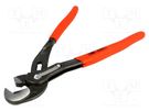 Pliers; universal wrench; 250mm; steel KNIPEX