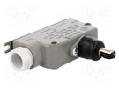 Limit switch; oblong plastic roller; SPDT; 6A; max.400VAC; IP56 PROMET