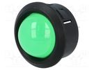 Indicator: LED; prominent; green; Ø25.65mm; for PCB; plastic MENTOR