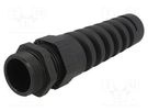 Cable gland; with strain relief; PG21; IP68; polyamide; black LAPP