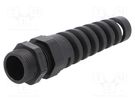 Cable gland; with strain relief; PG16; IP68; polyamide; black LAPP