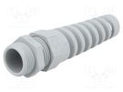 Cable gland; with strain relief; PG13,5; IP68; polyamide LAPP