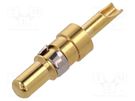 Contact; male; copper alloy; gold-plated; 20AWG÷16AWG; soldering CONEC