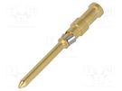 Contact; male; copper alloy; nickel plated,gold-plated; Han® D HARTING