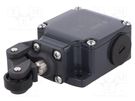 Limit switch; plastic roller Ø20mm; NO + NC; 10A; max.500VAC PIZZATO ELETTRICA