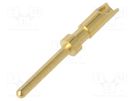 Contact; male; copper alloy; gold-plated; 26AWG÷22AWG; soldering BULGIN