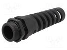 Cable gland; with strain relief; PG21; IP68; polyamide; black HUMMEL