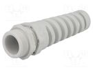 Cable gland; with strain relief; PG21; IP68; polyamide; grey HUMMEL