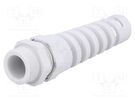 Cable gland; with strain relief; PG16; IP68; polyamide; grey HUMMEL