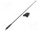 Antenna; car top; 0.41m; AM,FM; Ford; Rod inclination: regulated CALEARO