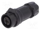 Connector: circular; plug; size 16; 02; female; PIN: 5; for latch LUTRONIC