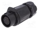 Connector: circular; plug; size 20; 02; female; PIN: 12; for latch LUTRONIC