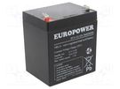 Re-battery: acid-lead; 12V; 5Ah; AGM; maintenance-free; EP EUROPOWER