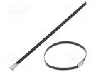Cable tie; L: 157mm; W: 4.6mm; acid resistant steel AISI 316; 445N PANDUIT