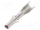 Contact; female; phosphor bronze; tinned; 3÷5mm2; 12AWG÷10AWG TE Connectivity
