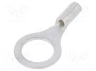 Tip: ring; M5; 0.2÷0.5mm2; crimped; for cable; non-insulated; 5.3mm NICHIFU